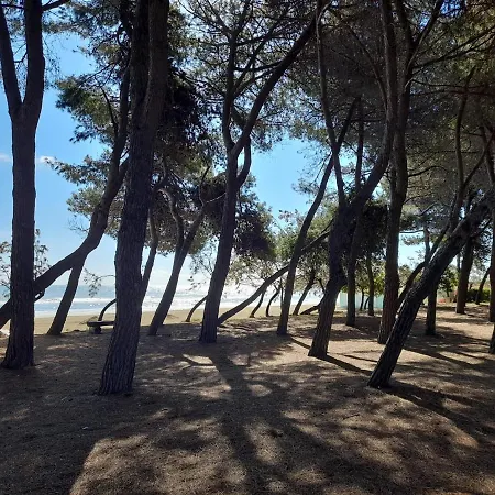 Il Garusolo Apartment