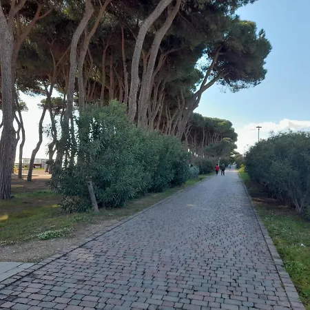 Apartment Il Garusolo Pineto