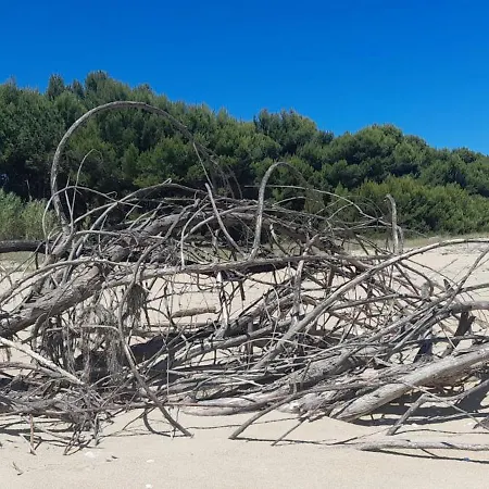 Il Garusolo 公寓 *