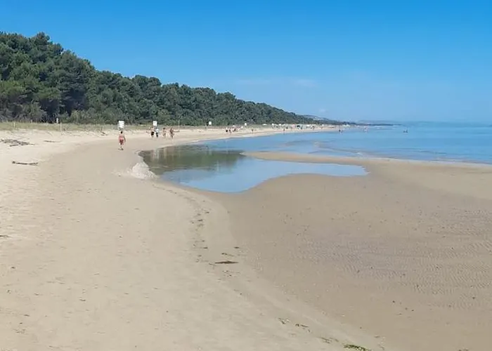 Il Garusolo דירה *