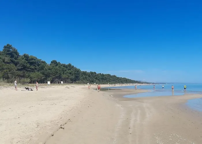 Il Garusolo Пинето